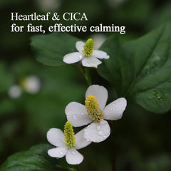 Pyunkang Yul PKY Calming Relief gel application on arm, gentle massage to aid absorption.