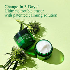 Pyunkang Yul PKY Ultimate Calming Cream applied on hand for hydration.