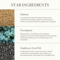 Rahua Omega 9 Hair Mask sunflower oil ingredient closeup emphasizing moisture and frizz control.