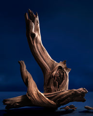 Ralph Lauren Polo 67 cedarwood note conveys warm, masculine depth.