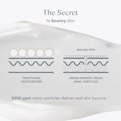 Ravie Beauty Ceramide NP layer reinforces the skin barrier with lasting moisture.