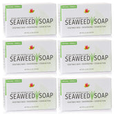 Reviva Seaweed Soap 6 Pack pack shot showing a natural exfoliating bar.