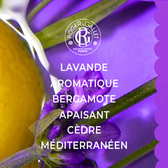 Lavande Royale spray bottle close up highlighting royal lavender notes