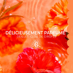 Roger & Gallet Œillet Mignardise packaging exudes artisanal elegance.