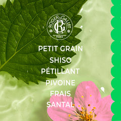 Closeup of the cap on Roger & Gallet Shiso Fragrant Water bottle.