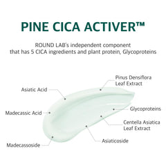 ROUND LAB Pine Calming Cica Cream swatch applied on skin for quick absorption.