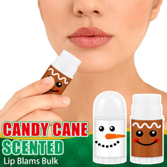Sacubee lip balm stick close-up, moisturizing formula on display