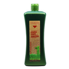 SALERM Biokera Natura Fortifying Shampoo bottle showcases Ginseng and Ginkgo Biloba for scalp nourishment.