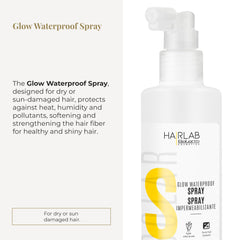 SALERM Hair Lab Solar heat protection up to 234°C for dry or sun-exposed hair
