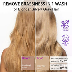 SAPHUS purple conditioner bar closeup, nourishing blend for color-treated hair.