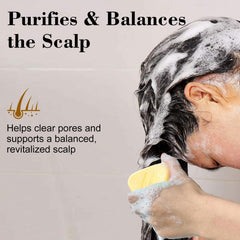 SAPHUS Shampoo Bar close-up with rich lather for scalp care.