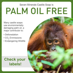 Foaming lather of Seven Minerals Lemon Castile Soap for daily cleansing.