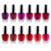SHANY DIY Nail Polish Set front view with 12 bottles for versatile manicures.