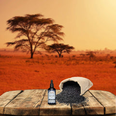 Shea Terra Egyptian Black Seed Oil bottle close-up emphasizes cold-pressed quality