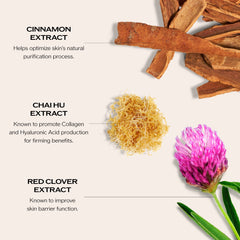 Shiseido Bio-Performance MolecuShift illustration showing hyaluronic acid size change.