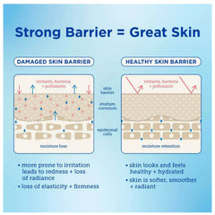 Skinfix Barrier Buddies duo shown together for nourishing skincare ritual.