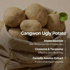 SKINFOOD Potato Madecassoside Daily Sheet Mask closeup ingredients featuring Madecassoside and potato extract.