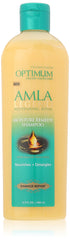 SoftSheen-Carson Amla Legend Moisture Remedy Shampoo bottle front nourishes and detangles.