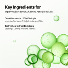 SUNGBOON EDITOR packaging shot shows gift-ready Korean skincare styling