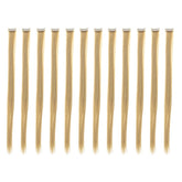 SWACC beige blonde clip-in extensions with straight texture for instant highlights