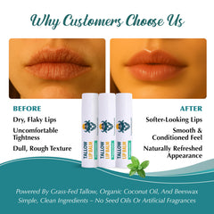 Tallowbourn beeswax texture showcases protective lip barrier.