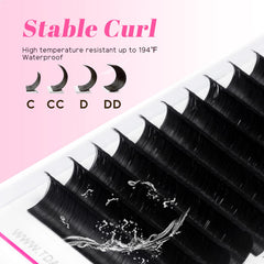 TDANCE Curl options CC DD for customized lash elevation.