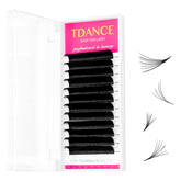 TDANCE Easy Fan Lashes tray close-up shows premade fans for fast applications.