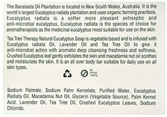Tea Tree Therapy eucalyptus bar soap 2-pack packaging shows plant-based formula and value