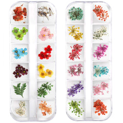 Teenitor nail dried flowers in 24 colors for vibrant nail art ideas.
