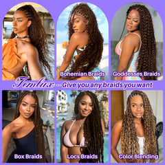 Temlux knotless style portfolio image shows versatile braiding options for different looks