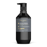 Theorie Charcoal and Bamboo Shampoo bottle pump shows sulfate-free formula for color-treated hair.