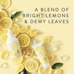 Thymes Lemon Leaf fragrance closeup highlighting citrus notes.