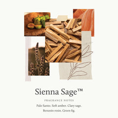 Thymes Sienna Sage amber soft note highlighted in elegant bottle.