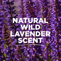 Lavender fragrance oils provide a lasting, pleasant scent from Tom's of Maine.
