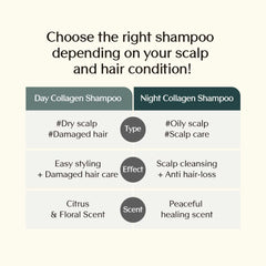 Treecell Day Collagen Shampoo foam on hand demonstrates gentle cleansing.