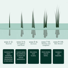 TUDPA Eyelash Serum in daily routine context for easy integration