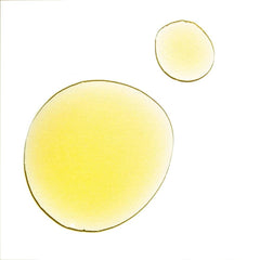 UMA Absolute Anti-Aging Body Oil texture, fast-absorbing and non-greasy for daily use.