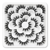 Veleasha Lashes natural fluffy look in a 10-pair pack for everyday beauty.