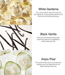 Victoria's Secret Noir Tease bundle overview showing five fragrance options.