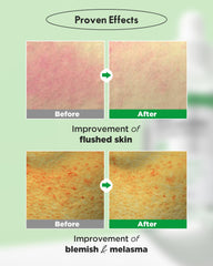Wellage Real Cica Ampoule texture during application reveals lightweight hydration and calm skin.