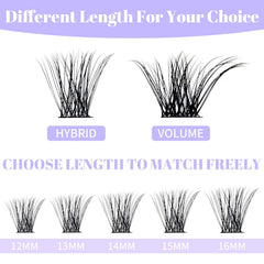Wendy Lashes D curl and C curl clusters offer versatile styling options.
