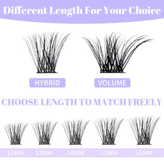 Wendy Lashes cluster lashes with firm roots to maintain shape through wear.