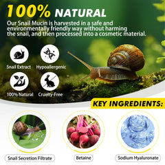 WHLH & WELL-BEING snail mucin moisturizer jar delivering lasting moisture