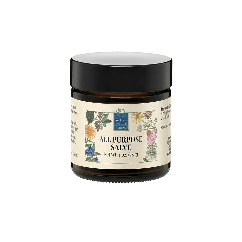 Wise Woman Herbals all-purpose salve jar front for everyday skin nourishment.