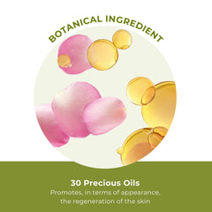 Illustration of Yves Rocher botanicals suggests plant-based nourishment for daily care.