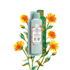 Yves Rocher Pur Calendula creamy texture close up, non greasy cleansing that nourishes the skin