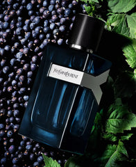 Yves Saint Laurent Y Intense packaging box shown, ideal for gifting
