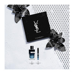 Yves Saint Laurent Y scent notes visuals, citrus woody profile for versatile wear.