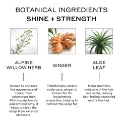 Zenagen Evolve ingredients chart emphasizing amino acids and natural extracts