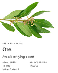 Zents Ore packaging on counter highlighting premium design.